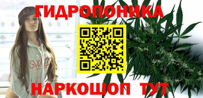 jwh Нальчик