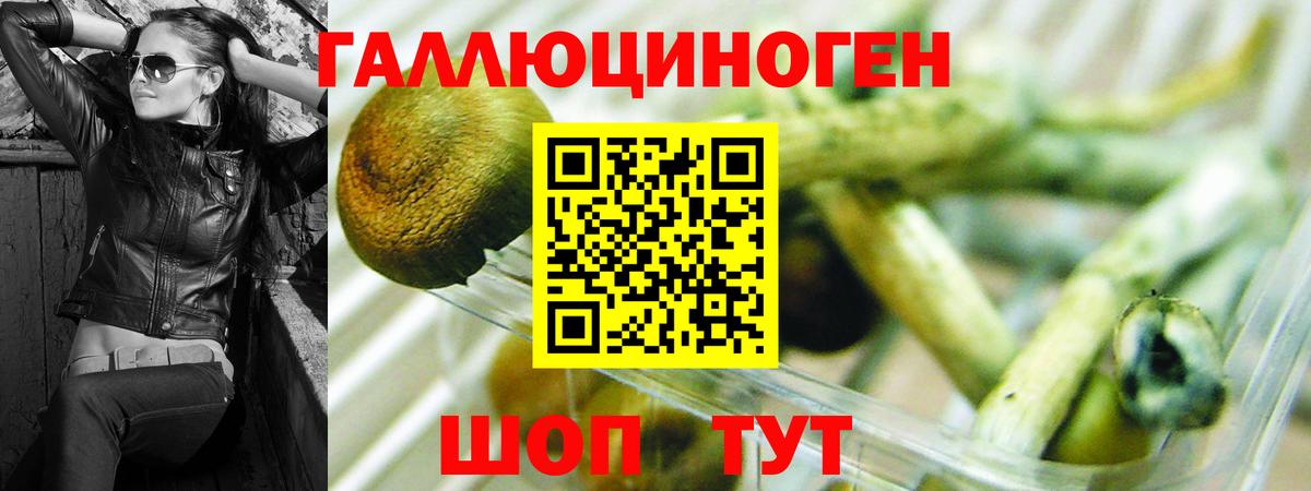 Псилоцибиновые грибы Psilocybe  Вход с VPN  Усинск 