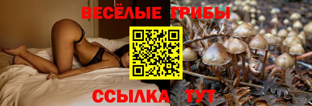 Псилоцибиновые грибы Magic Shrooms Усинск